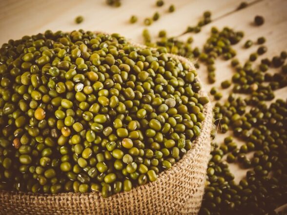 Mung bean